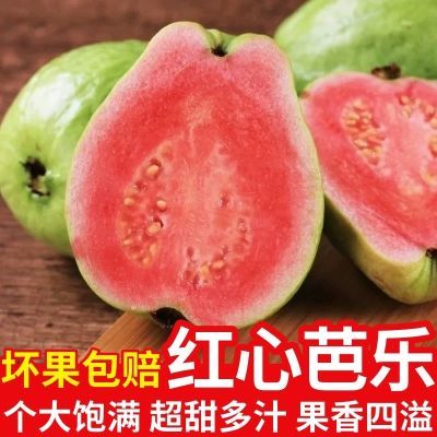 PDD热销产品汇总20点档更新2024/08/30
