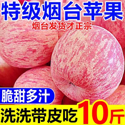 PDD热销产品汇总20点档更新2025/09/07