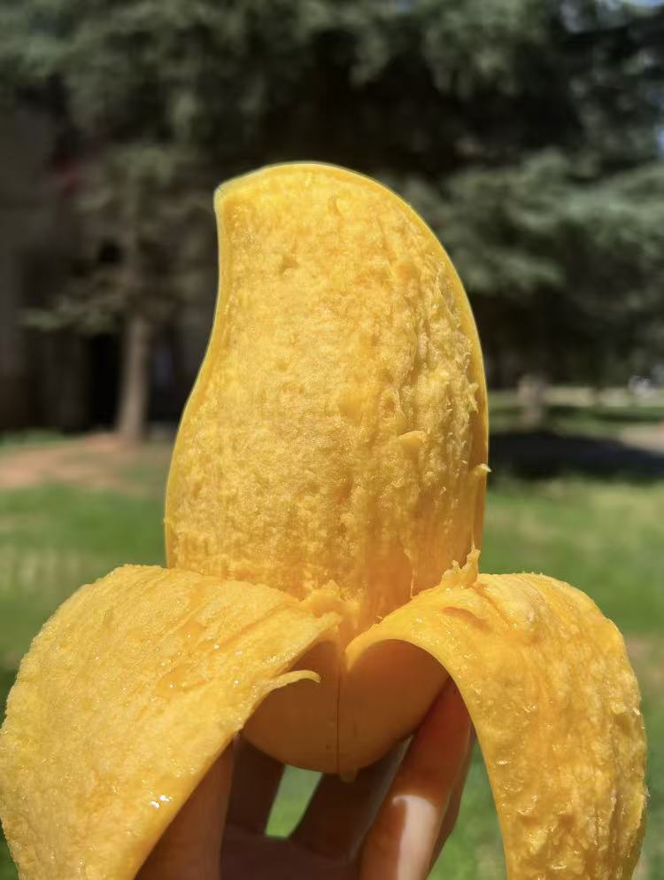 0_4