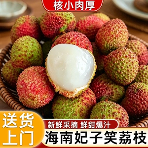 正宗海南妃子笑荔枝新鲜现摘现发核小鲜甜爆汁大果包邮【现货】