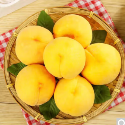 37元包邮！商超品质 正宗山东蒙阴黄桃 黄金蜜桃 特大果 5斤装 （10-16个）