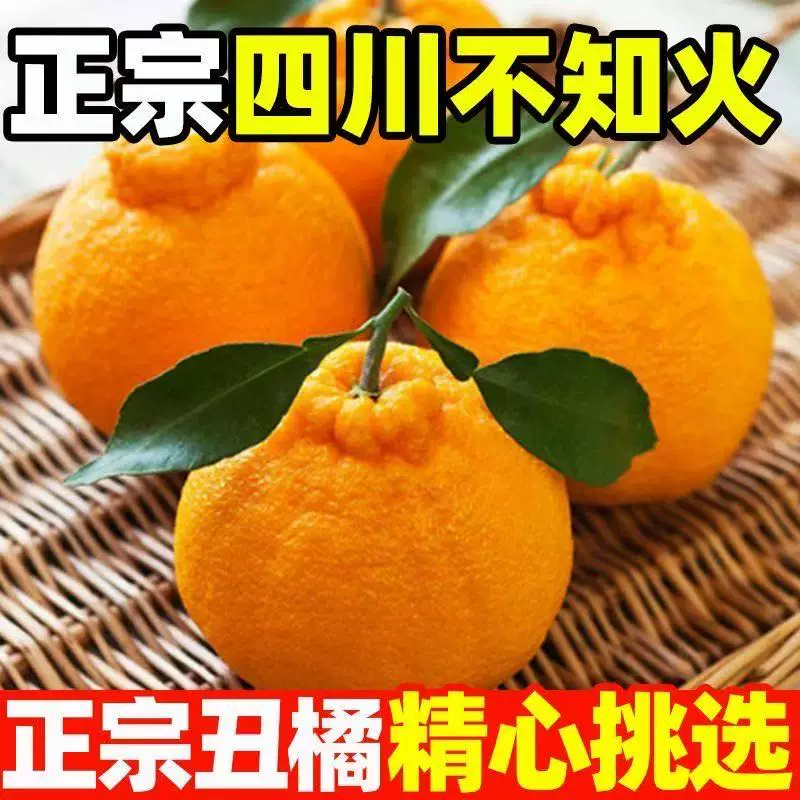 四川眉山不知火丑橘新鲜孕妇水果彩箱8斤装净重直发耙耙果丑橘果