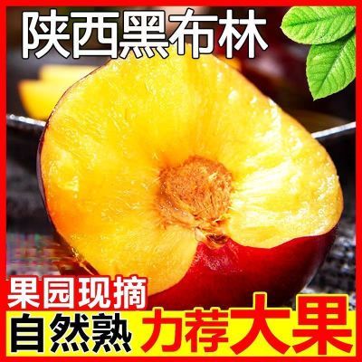 PDD热销产品汇总08点档更新2025/07/02