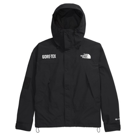 The North Face GORE-TEX Mountain Jacket - Men's