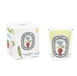 Diptyque Citronelle (Lemongrass) Scented 蜡烛 