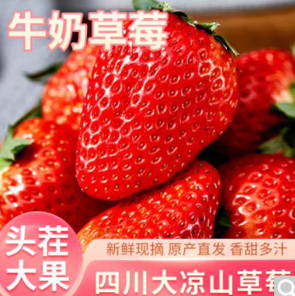 32.9元包邮！惠味福四川大凉山红颜牛奶 草莓礼盒装3斤尝鲜装【单果13-20g】