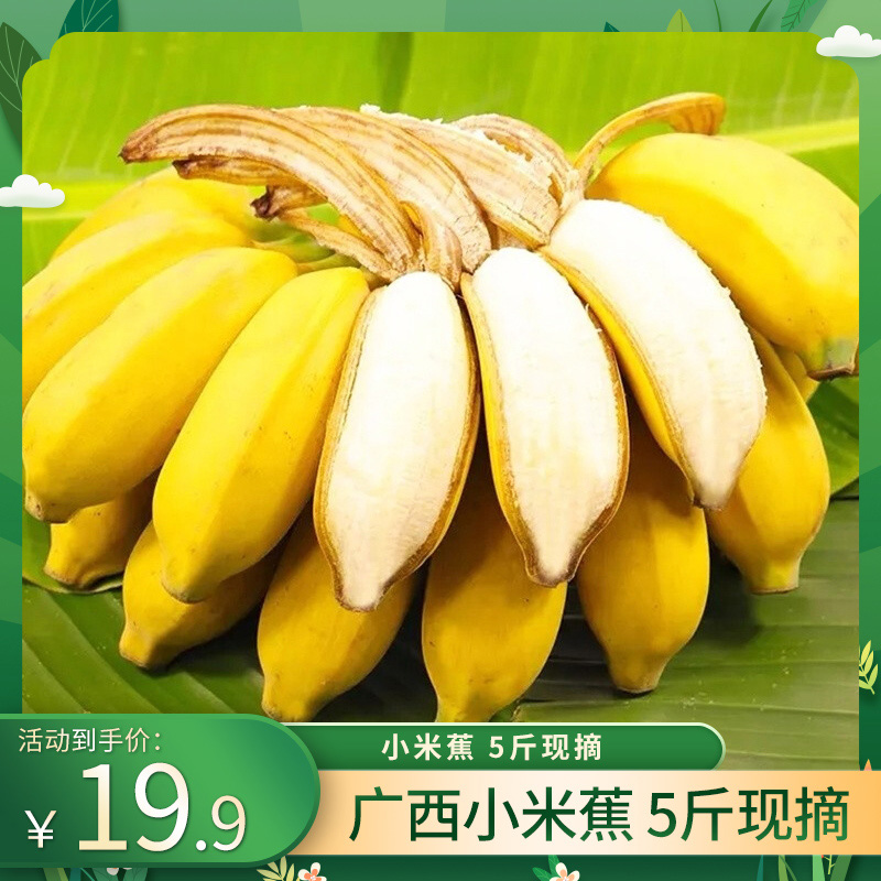 【旗舰店】甘果有约 广西小米蕉 5斤现摘