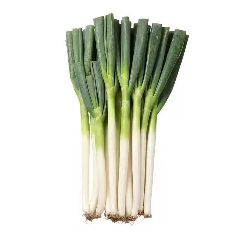 山东新鲜铁杆大葱带箱5斤