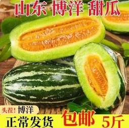 20.9元包邮！巨巨巨甜的博洋9号甜瓜 新鲜采摘5斤