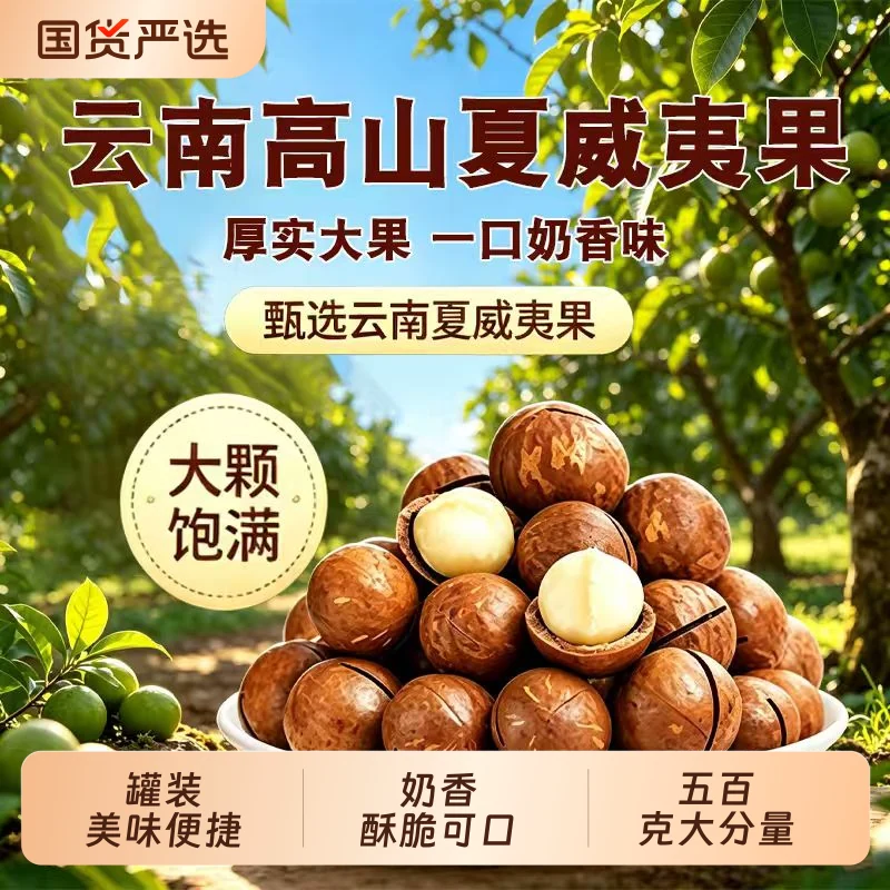 夏威夷果500g袋装（22-24的大果）