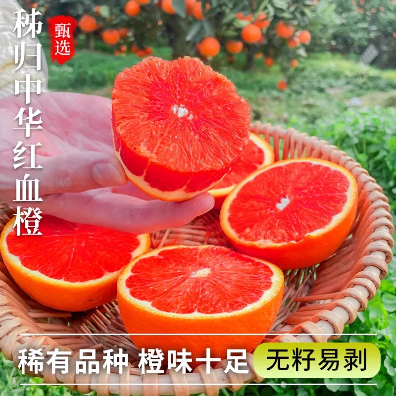 4.5斤11.9！秭归中华红血橙