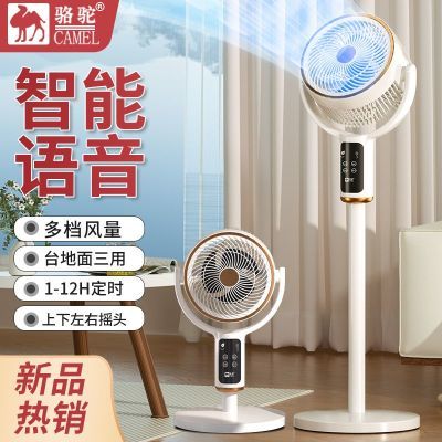 PDD热销产品汇总20点档更新2025/06/14
