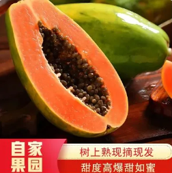 13.8元包邮！牛奶红心木瓜5斤（好评商家返1元）