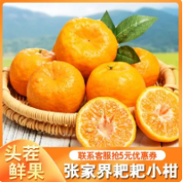 13.9元包邮！旗舰店张家界耙耙柑 五斤大果（好评商家返1元）