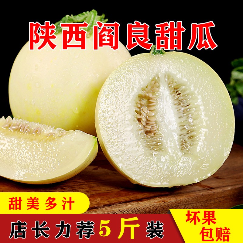  【已验货】天喜源 头茬白甜瓜  4.5-5斤
