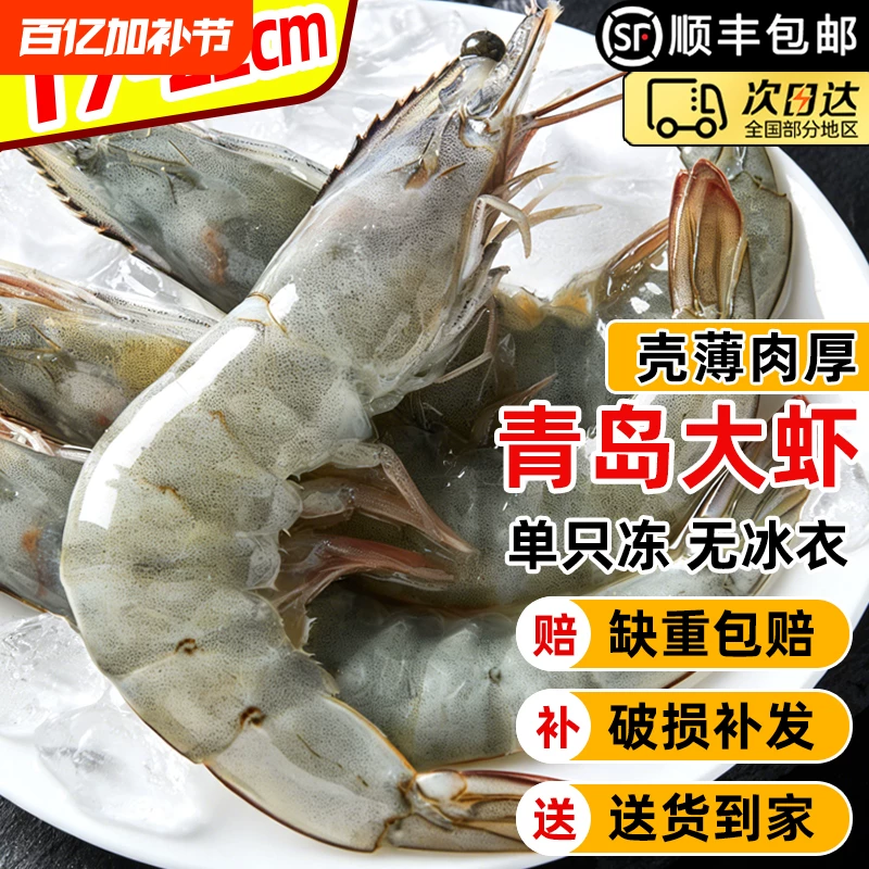 顺丰【无冰净重2.8斤】青岛大虾对虾
