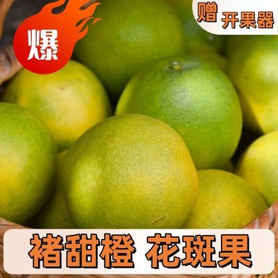 PDD热销产品汇总20点档更新2025/10/31