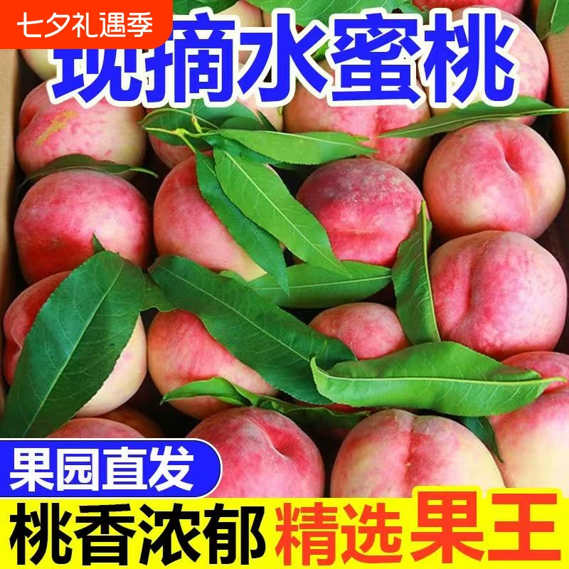 山西运城正宗水蜜桃净重4.5斤