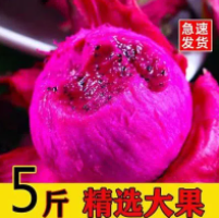 9.9元包邮！金都一号 火龙果3斤（hp商家返2元）