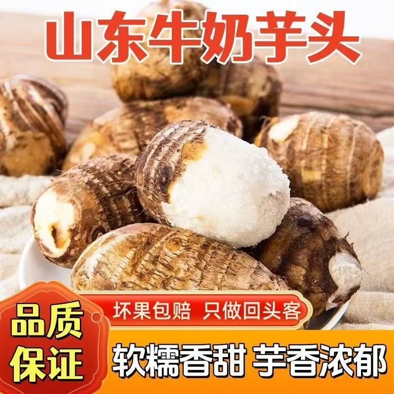 山东牛奶芋头4.5斤