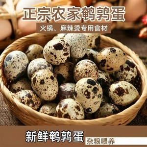 生鹌鹑蛋农家新鲜自产散养营养辅食口感丰富细腻泡沫防震发货