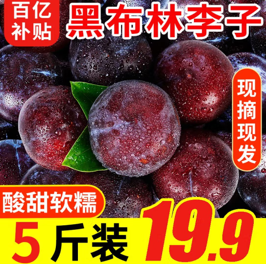 14.9元包邮！壹农壹果 黑布林李子 精选5斤