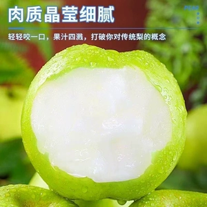 河北皇冠梨5斤梨子新鲜当季水果酥脆梨砀山黄金梨整箱包邮现摘