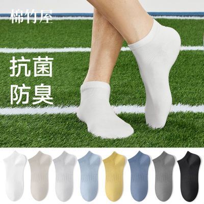 PDD热销产品汇总08点档更新2026/04/05