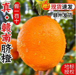 22.9元包邮！龙嶂 正宗赣南脐橙高级礼盒装10斤（精品特大果85mm+）好评还返金豆