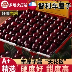 【京东】鲜应 智利车厘子合集
