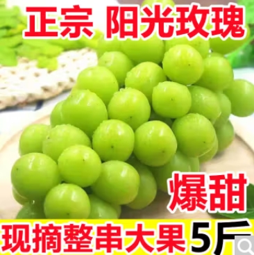 29.7元包邮！飘香果度 正宗阳光玫瑰葡萄礼盒净重4斤 单果8-10g