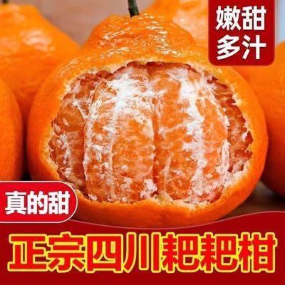 PDD热销产品汇总02点档更新2025/11/23