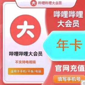 95.6元，哔哩哔哩年卡