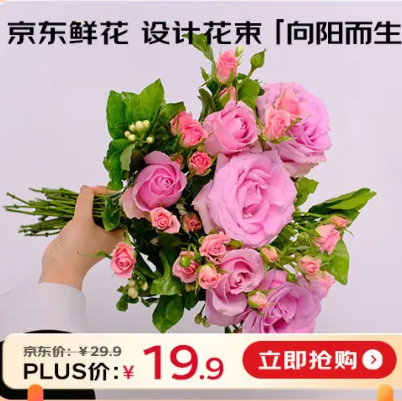京东PLUS鲜花馆   部分订制花束19.9元