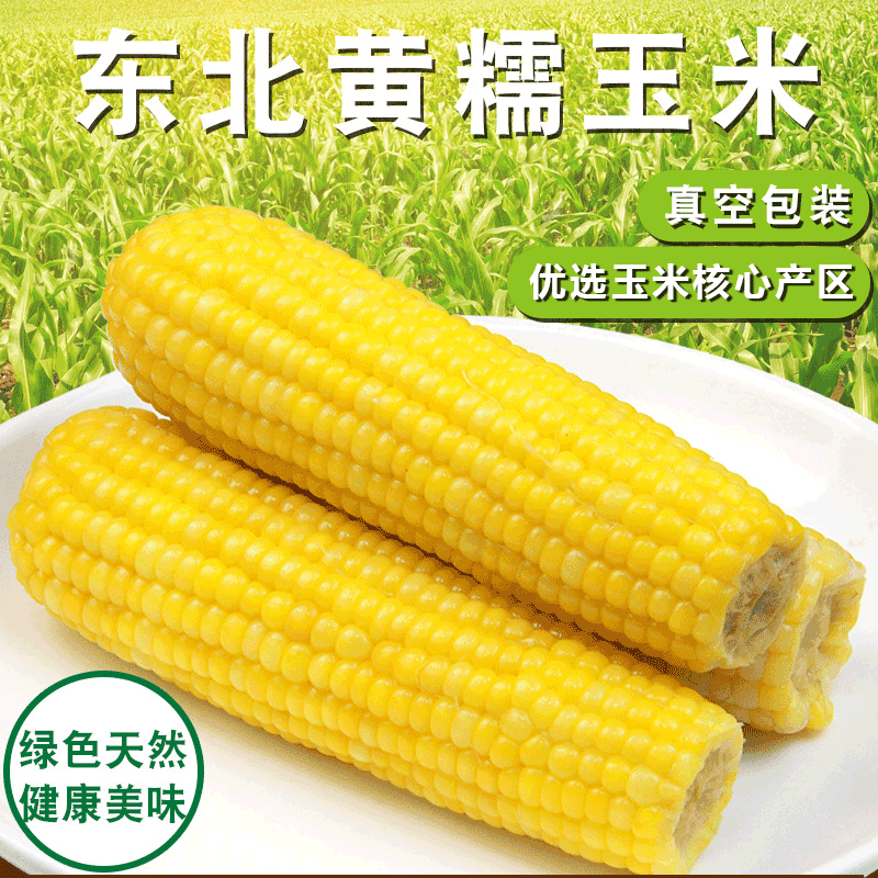 【玉米届天花板】东北新鲜甜糯玉米棒2400g