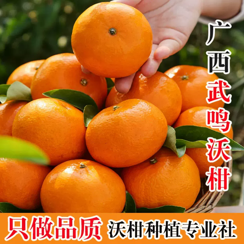 广西沃柑净重4.5斤！！