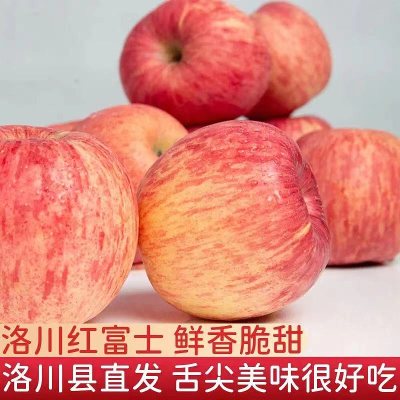 顶端果业 洛川苹果 正宗陕西红富士 10斤（含箱）果径70~75mm