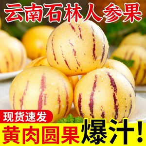 云南石林人参果新鲜黄肉圆果树熟当季水果现货速发应季水果