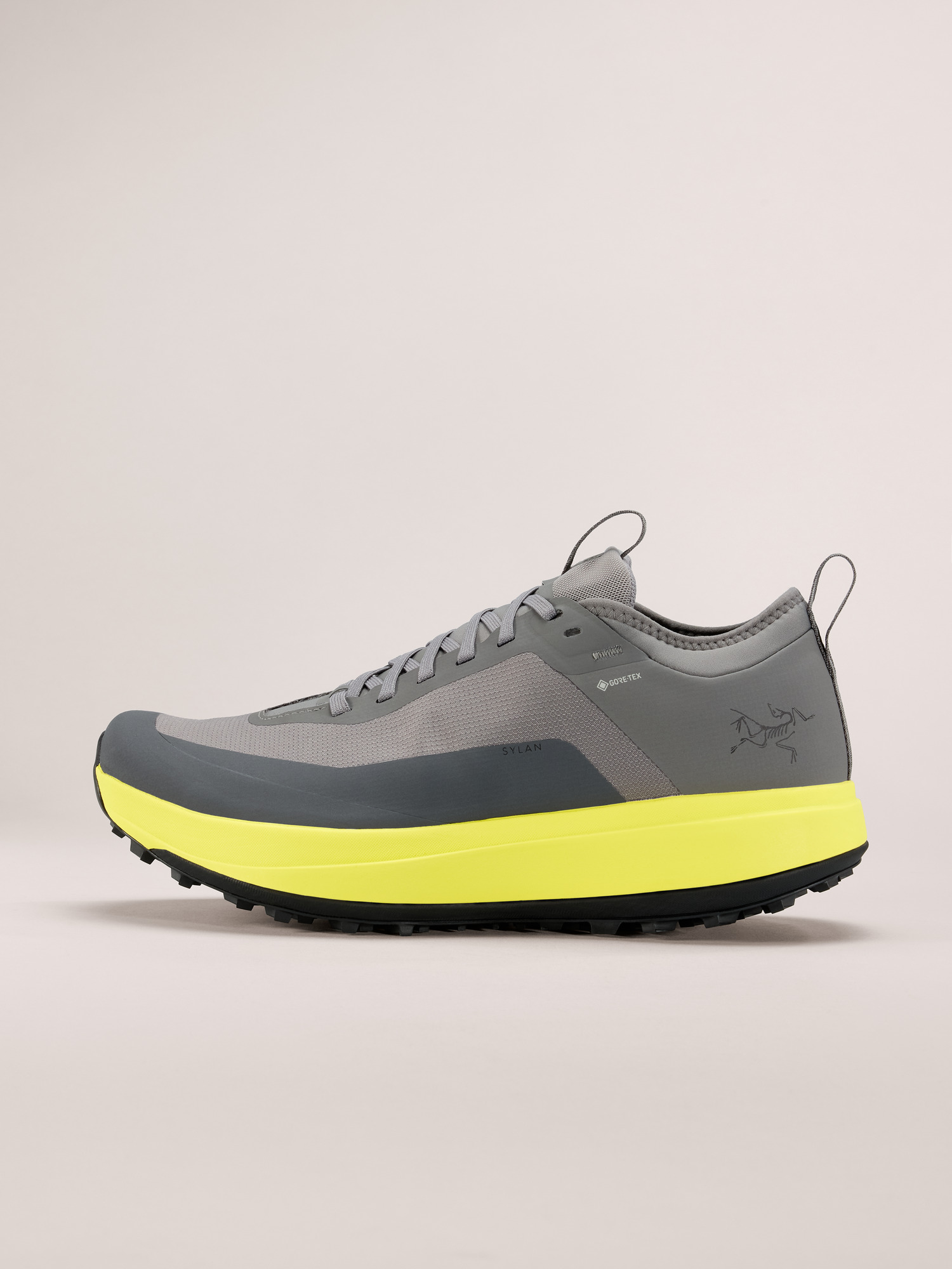 Arcteryx Sylan GTX Shoe Men's