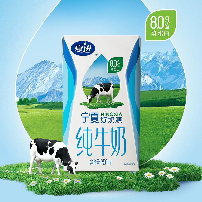 夏进纯牛奶250ml×20盒