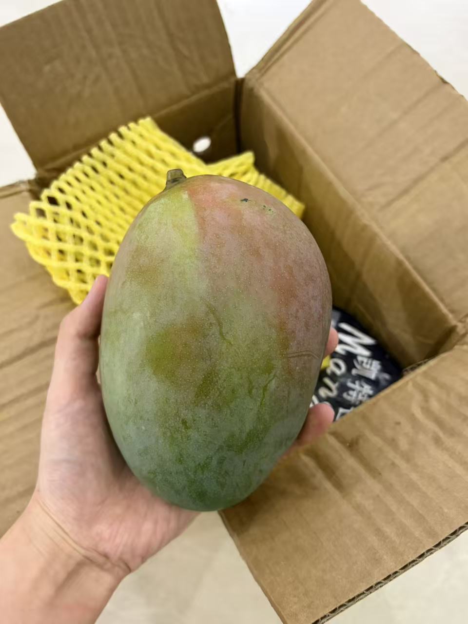 0_2