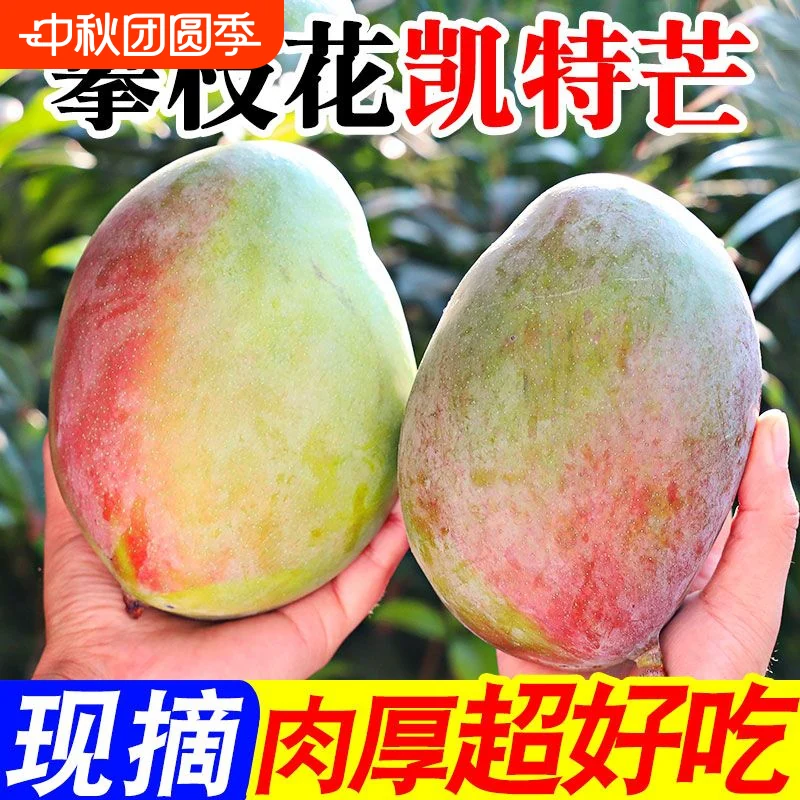 四川攀枝花凯特芒果新鲜水果当季忙青皮特大芒果现货