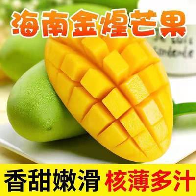 PDD热销产品汇总02点档更新2024/04/01