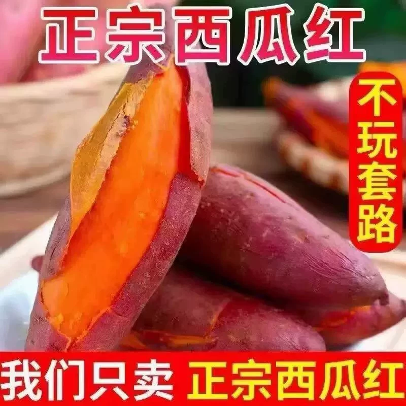 下拉13.78！正宗西瓜红蜜薯4.5斤（中果）