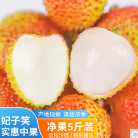 ​9.5元！南垦优选海南荔枝新鲜妃子笑净重5斤装（拍3件）