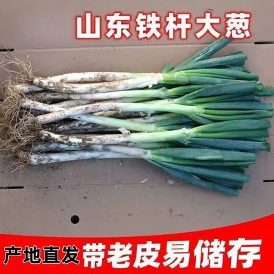 PDD热销产品汇总14点档更新2026/02/27