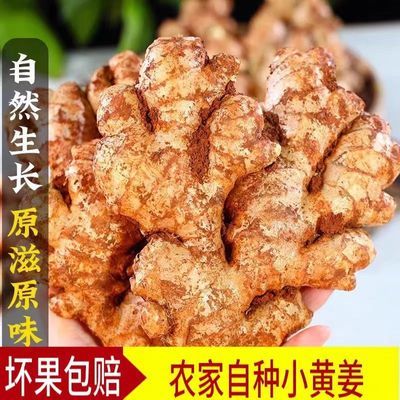 PDD热销产品汇总08点档更新2024/07/30
