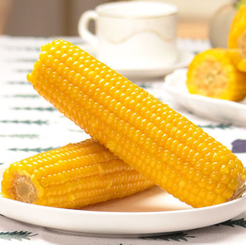 36.9元包邮！10棒东北黄糯玉米