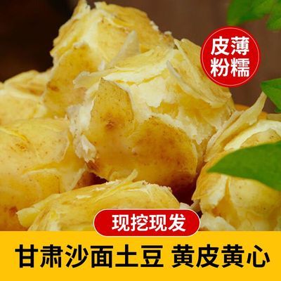 PDD热销产品汇总14点档更新2025/08/05