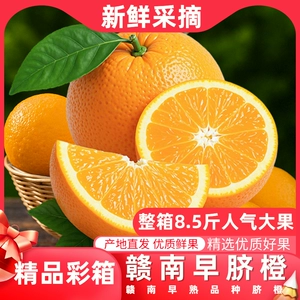 【产地直发】正宗赣南早脐橙5斤水果纽荷尔脐橙新鲜水果汁橙子